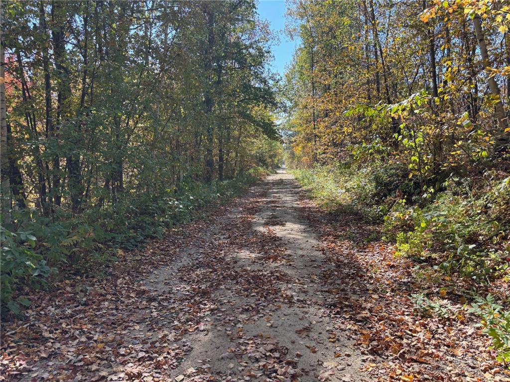 TBD County Road 12 Akeley MN 56433 6798880 image2