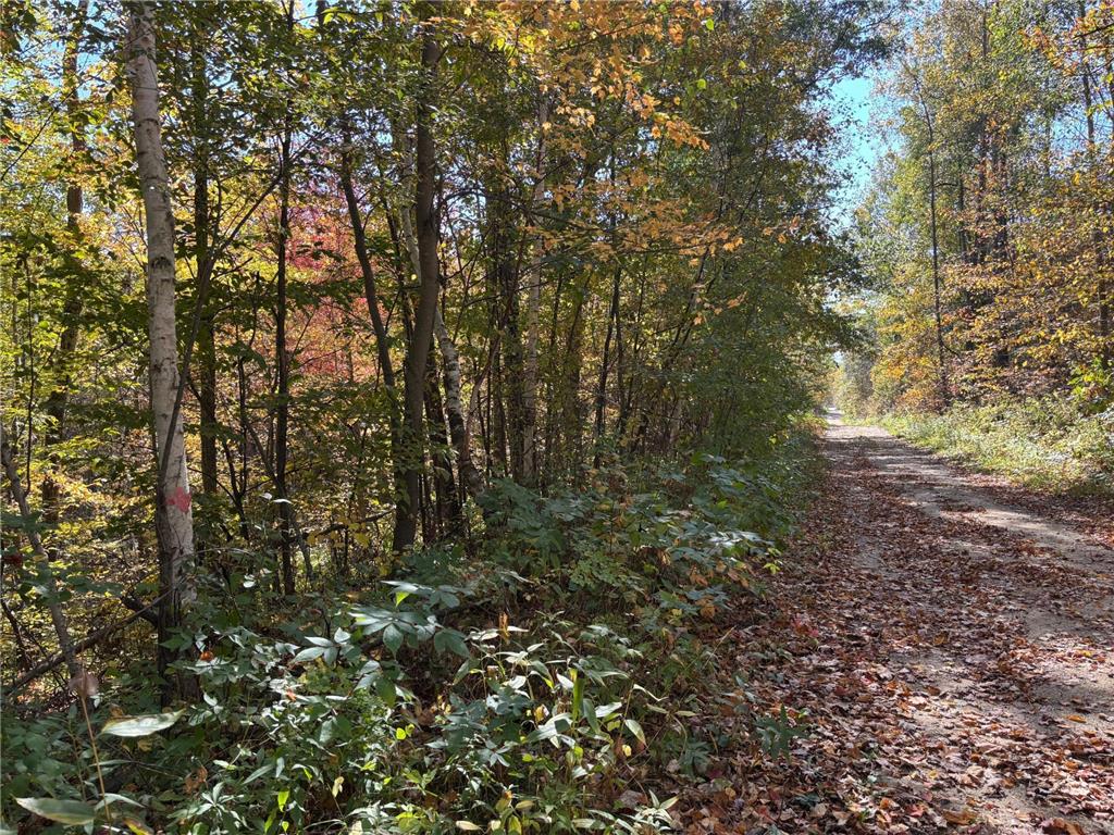 TBD County Road 12 Akeley MN 56433 6798880 image3