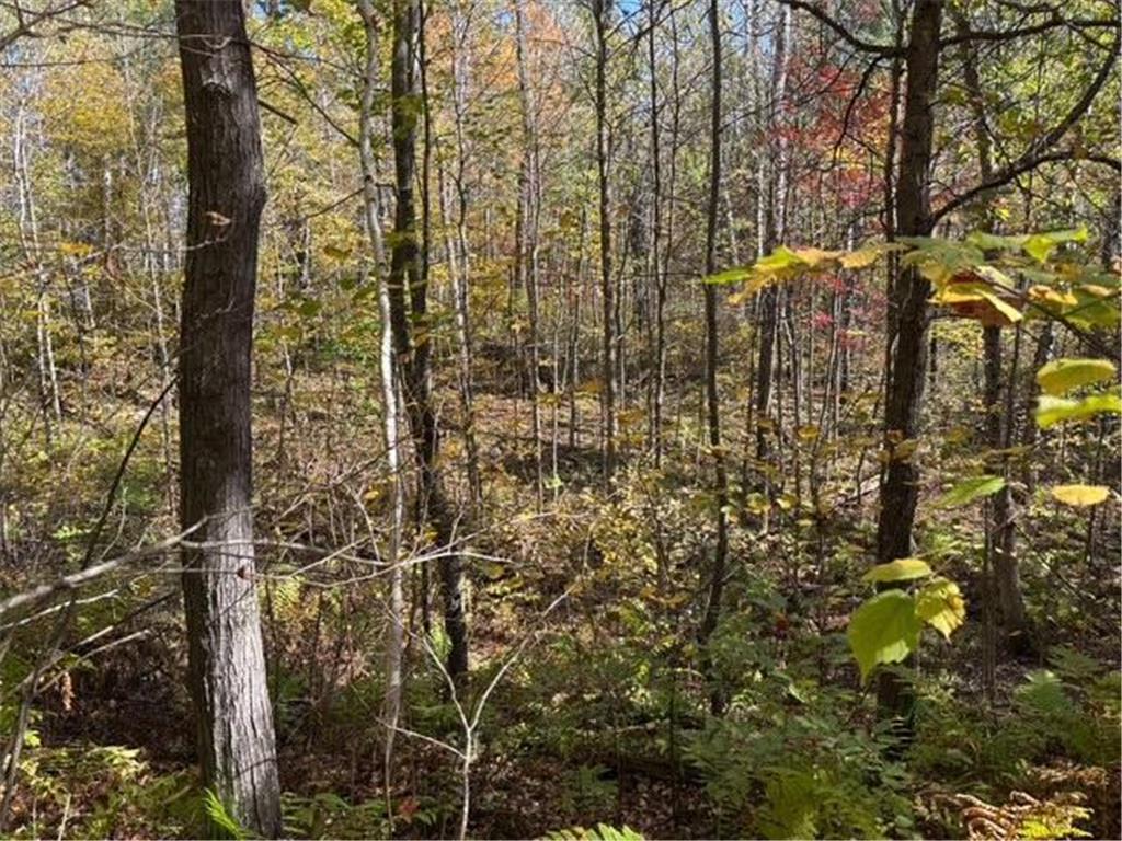 TBD County Road 12 Akeley MN 56433 6798880 image5