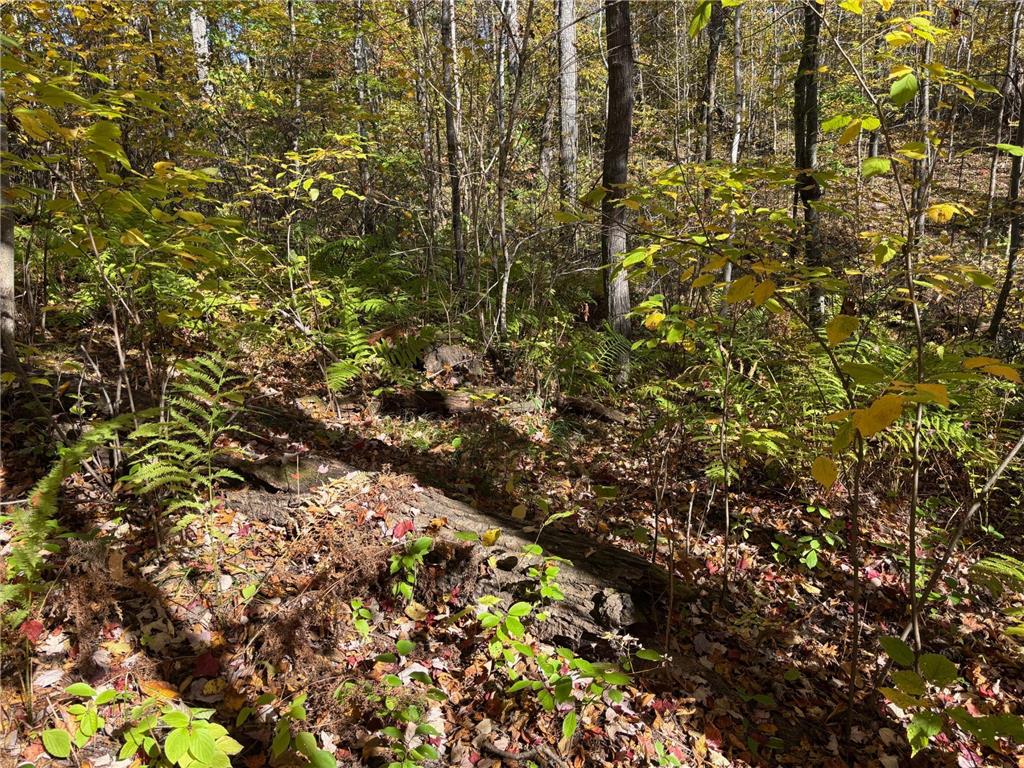 TBD County Road 12 Akeley MN 56433 6798880 image6