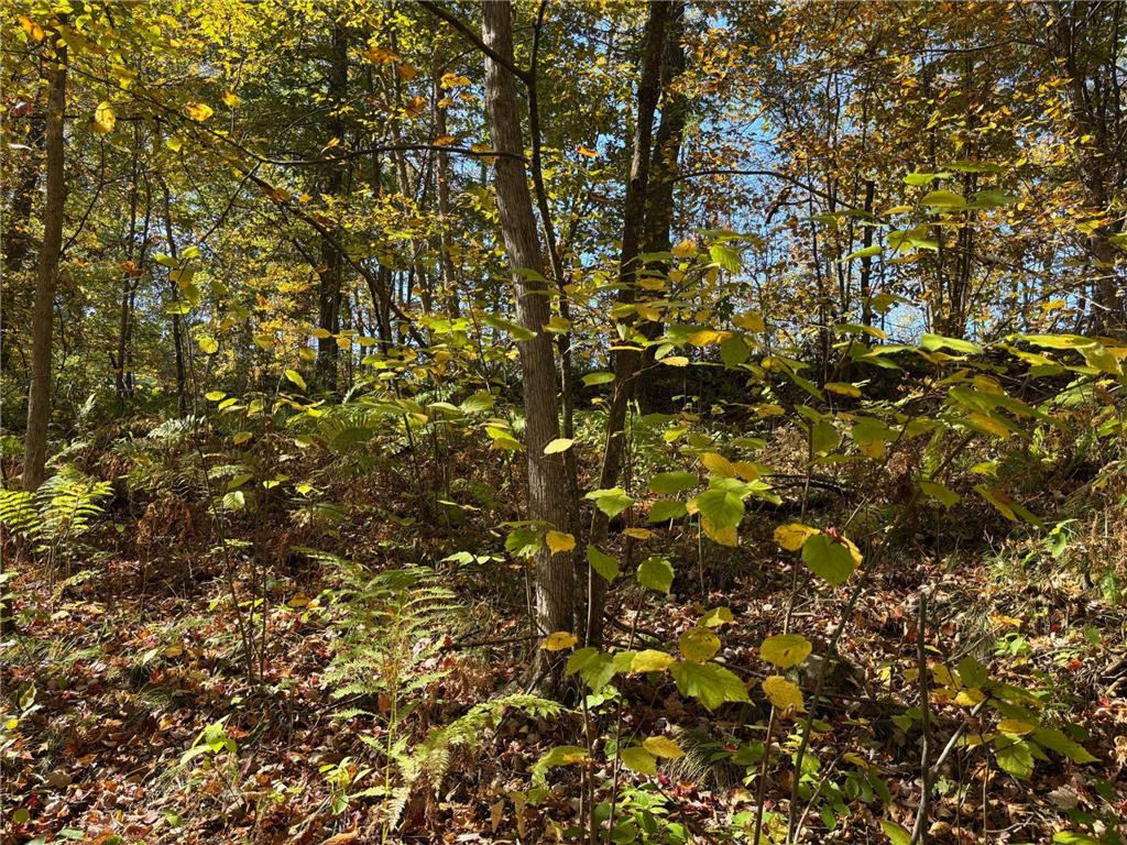 TBD County Road 12 Akeley MN 56433 6798880 image7