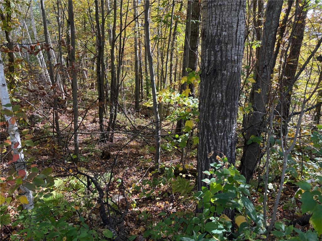 TBD County Road 12 Akeley MN 56433 6798880 image8