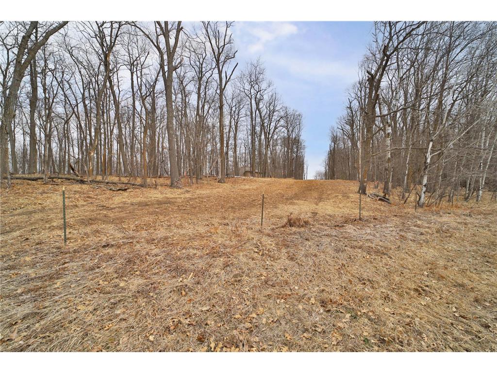 TBD County Road 12 Ironton MN 56455 7045539 image2