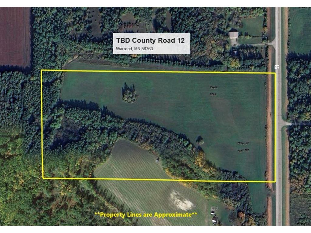 TBD County Road 12 Warroad MN 56763 6534613 image1