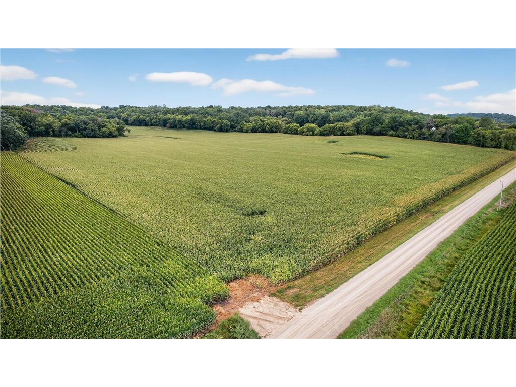 TBD County Road 121 NE Rochester MN 55906 6786698 image1