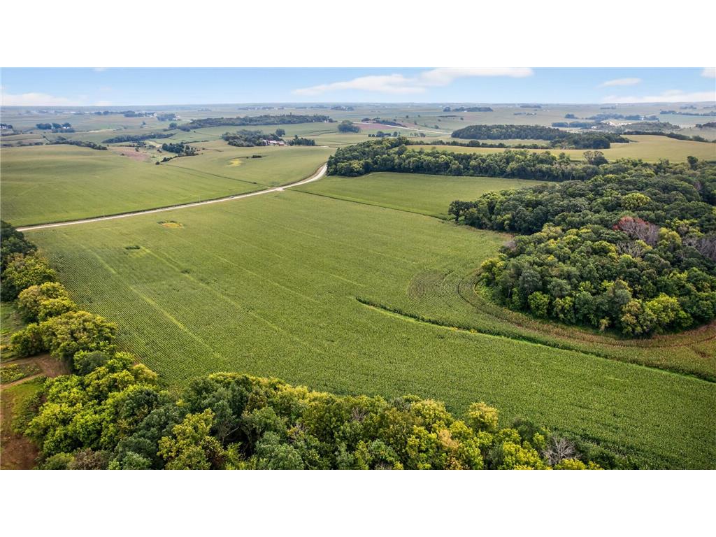 TBD County Road 121 NE Rochester MN 55906 6786698 image10