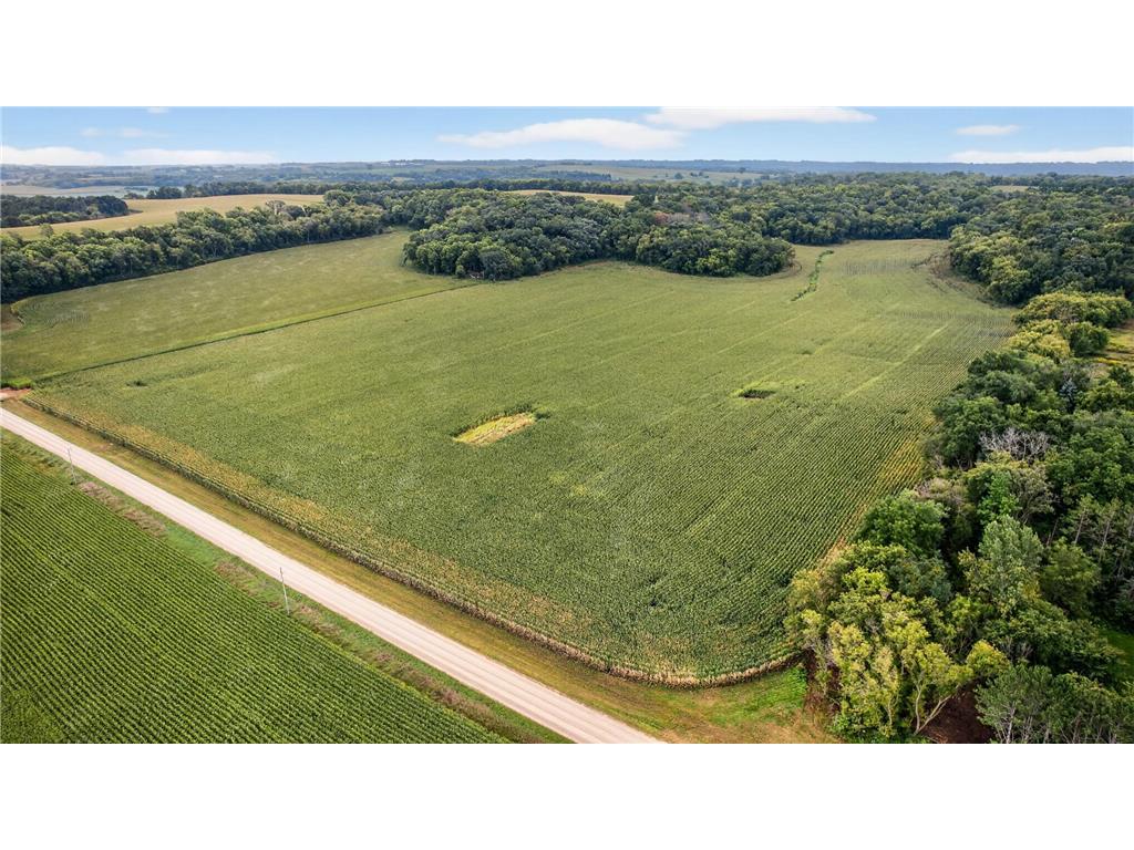 TBD County Road 121 NE Rochester MN 55906 6786698 image12