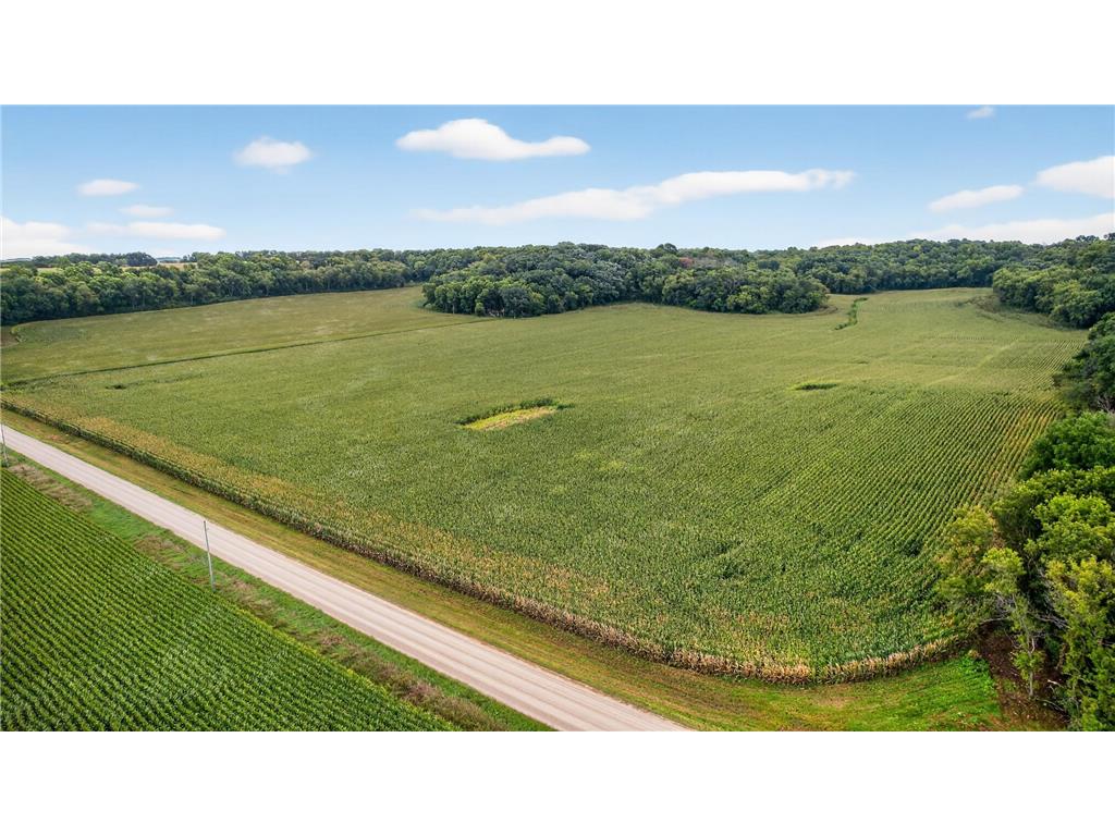 TBD County Road 121 NE Rochester MN 55906 6786698 image13