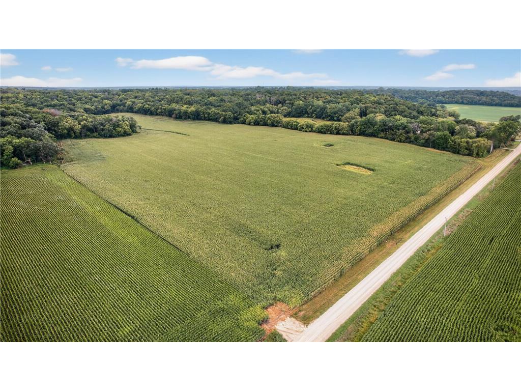 TBD County Road 121 NE Rochester MN 55906 6786698 image2