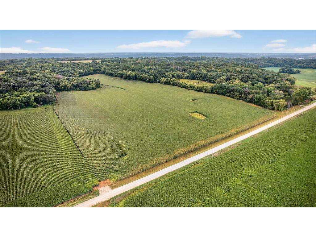 TBD County Road 121 NE Rochester MN 55906 6786698 image3