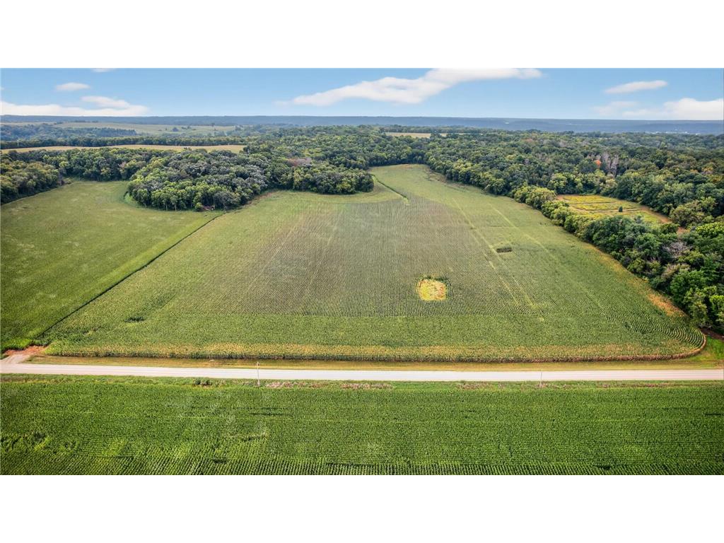 TBD County Road 121 NE Rochester MN 55906 6786698 image4