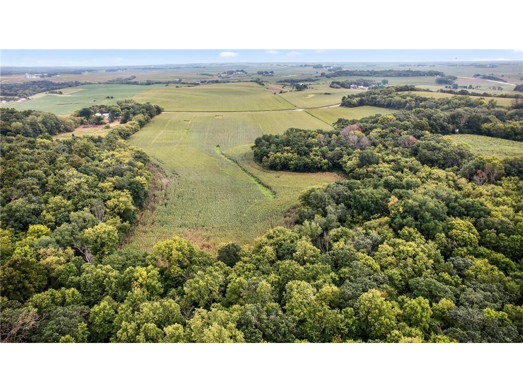 TBD County Road 121 NE Rochester MN 55906 6786698 image5