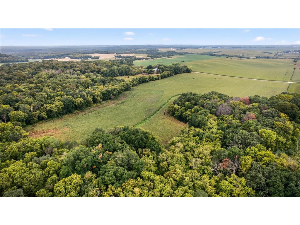 TBD County Road 121 NE Rochester MN 55906 6786698 image6