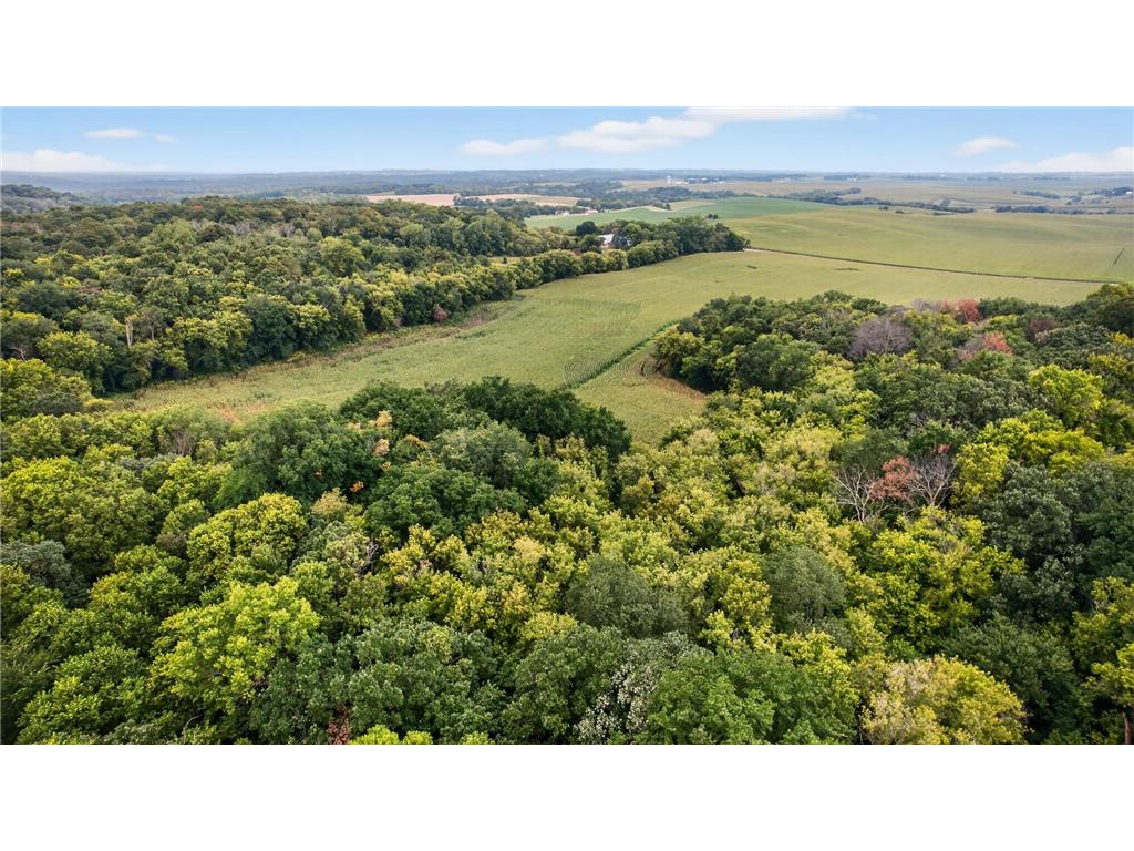 TBD County Road 121 NE Rochester MN 55906 6786698 image7