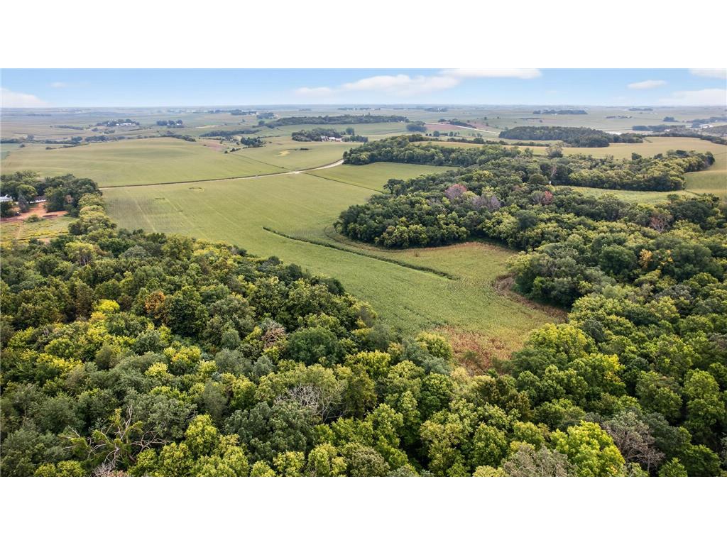 TBD County Road 121 NE Rochester MN 55906 6786698 image8