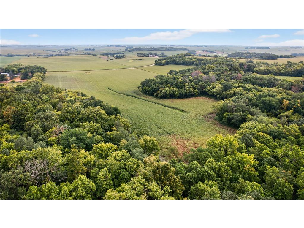 TBD County Road 121 NE Rochester MN 55906 6786698 image9