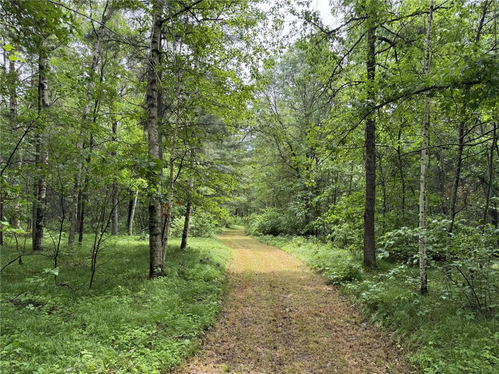 TBD County Road 13 Nisswa MN 56468 7089105 image1