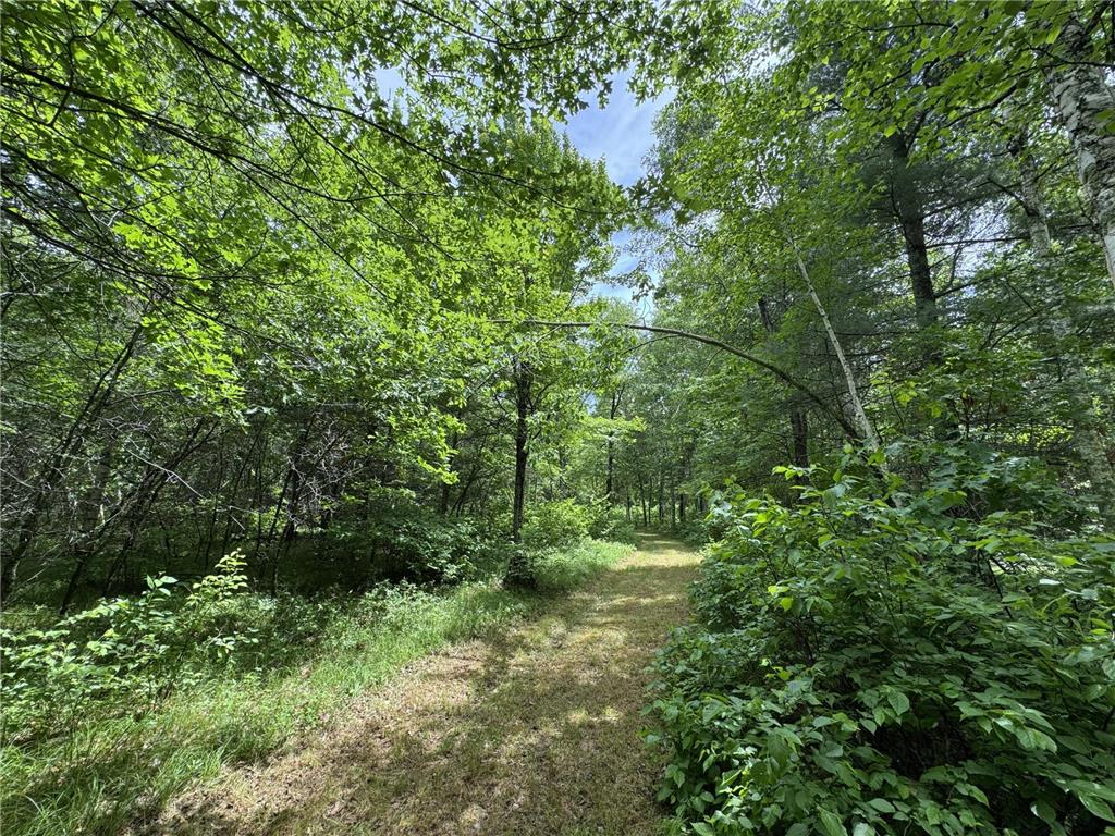 TBD County Road 13 Nisswa MN 56468 7089105 image11
