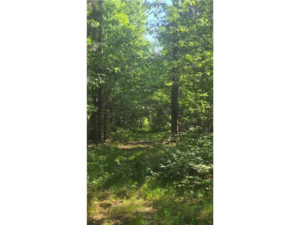 TBD County Road 13 Nisswa MN 56468 7089105 image12