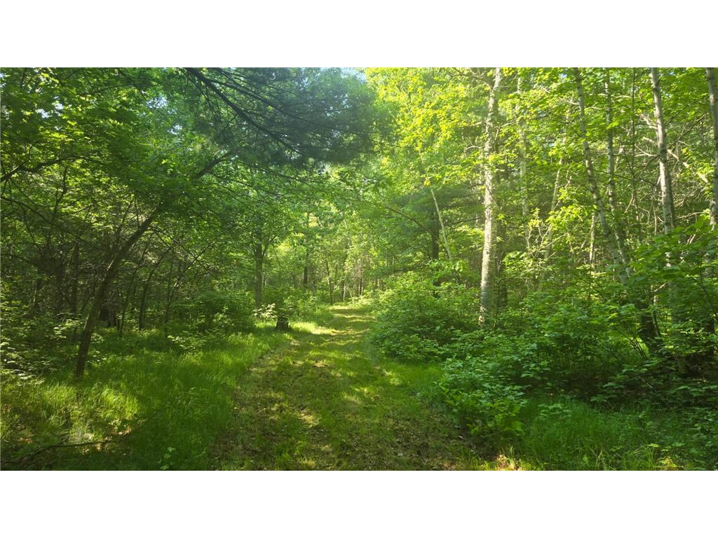 TBD County Road 13 Nisswa MN 56468 7089105 image3