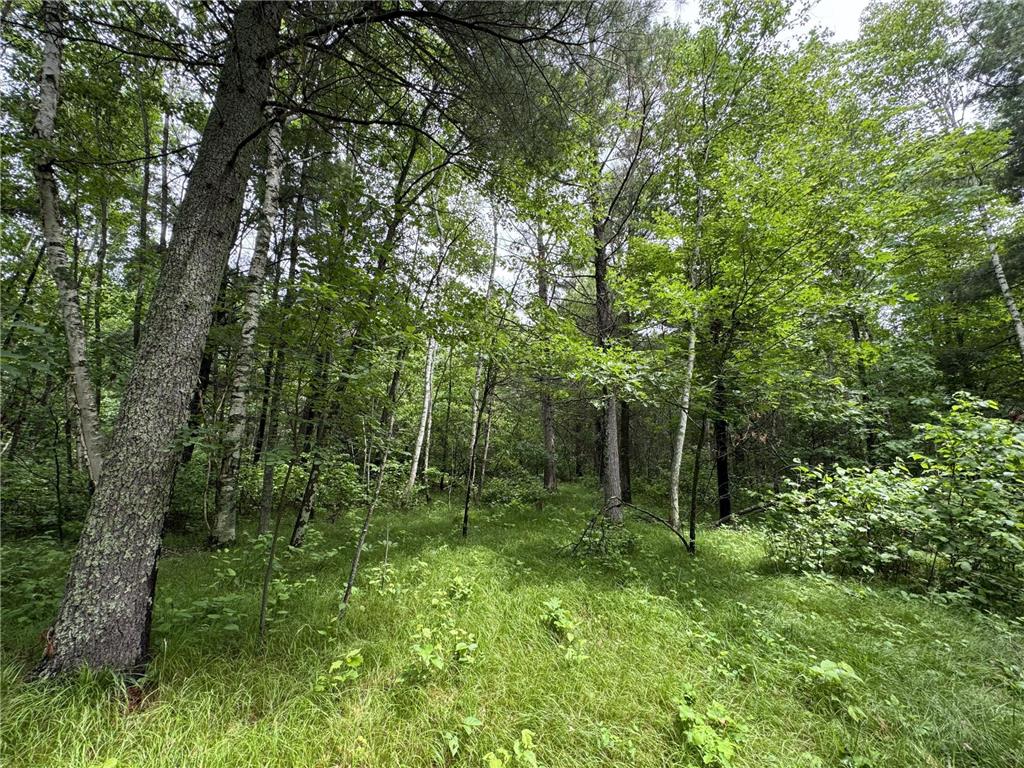 TBD County Road 13 Nisswa MN 56468 7089105 image4