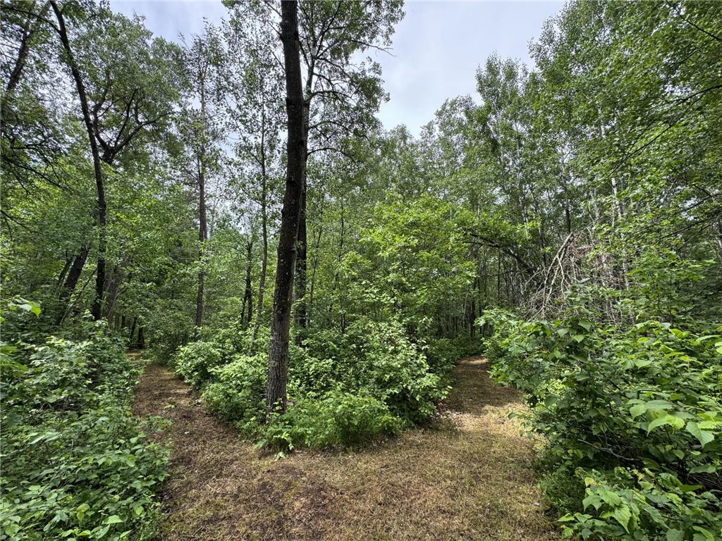 TBD County Road 13 Nisswa MN 56468 7089105 image5