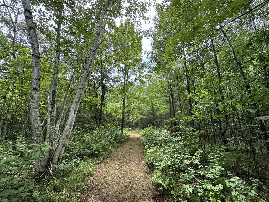 TBD County Road 13 Nisswa MN 56468 7089105 image7