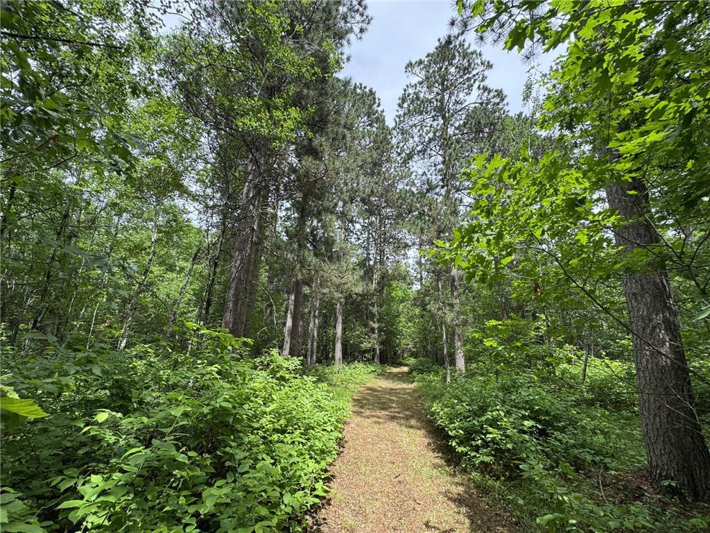 TBD County Road 13 Nisswa MN 56468 7089105 image9
