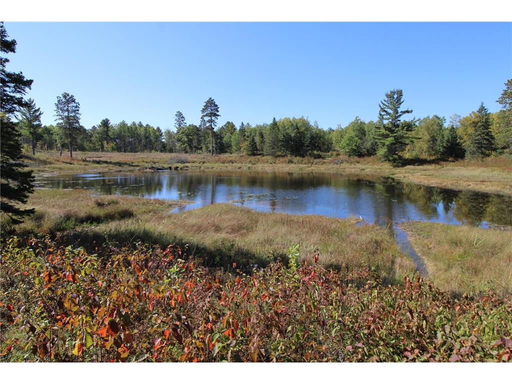 TBD County Road 136 Fifty Lakes MN 56448 6793785 image1