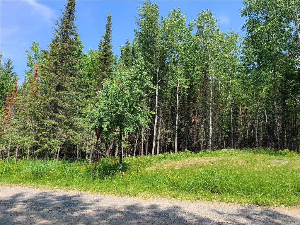 TBD County Road 138, International Falls, MN 56649 MLS 6391662 Edina Realty