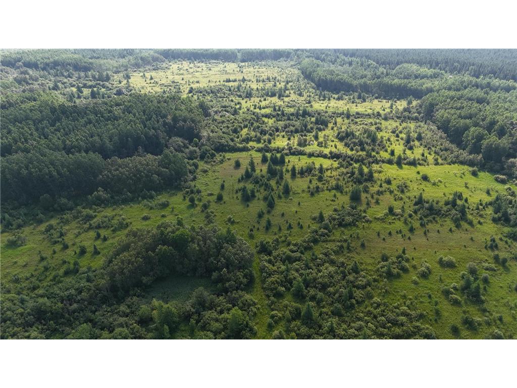 TBD County Road 14 Littlefork MN 56653 6716750 image1
