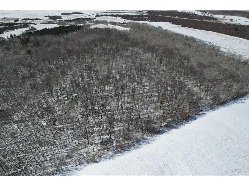 TBD County Road 14 Sebeka MN 56477 7035591 image11