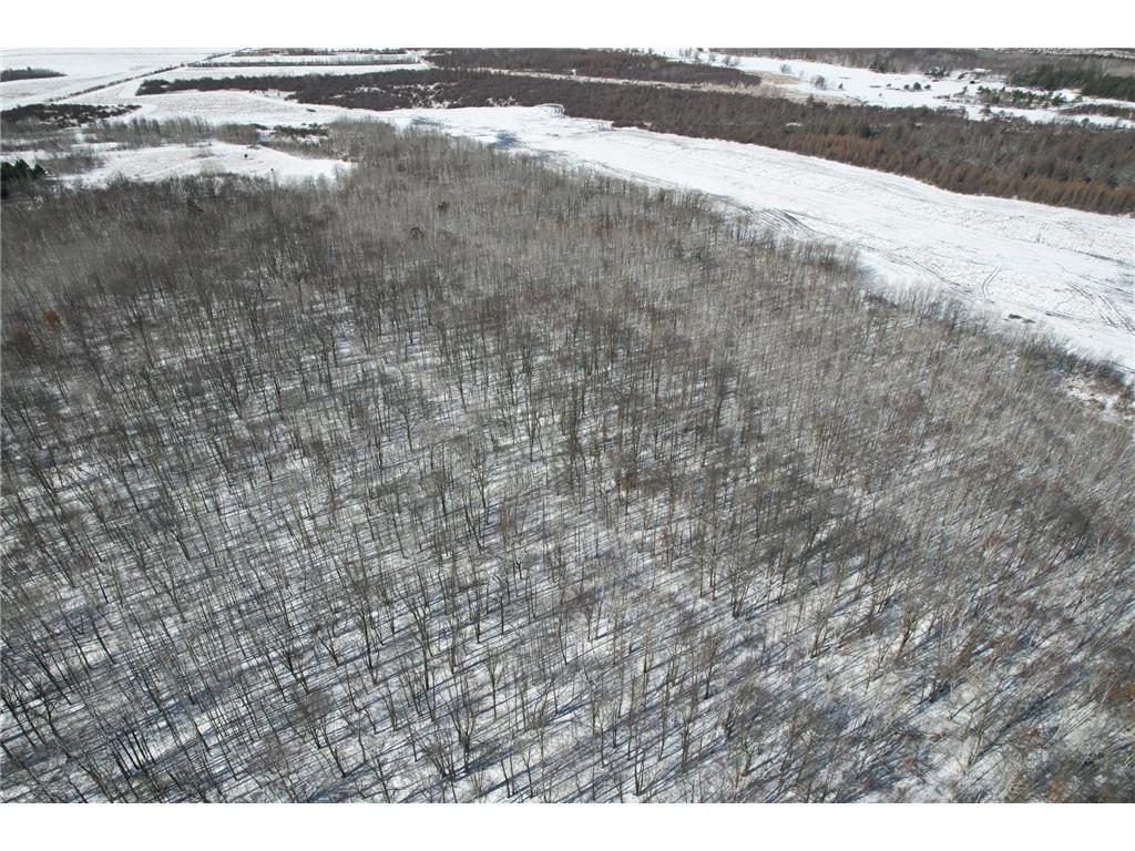 TBD County Road 14 Sebeka MN 56477 7035591 image12