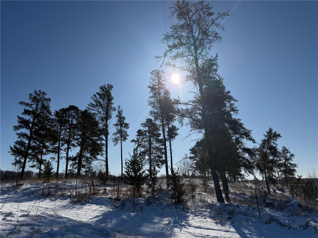 TBD County Road 14 Sebeka MN 56477 7035591 image34