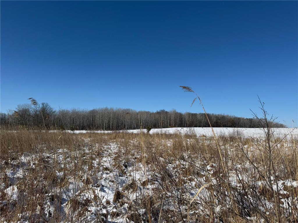 TBD County Road 14 Sebeka MN 56477 7035591 image52