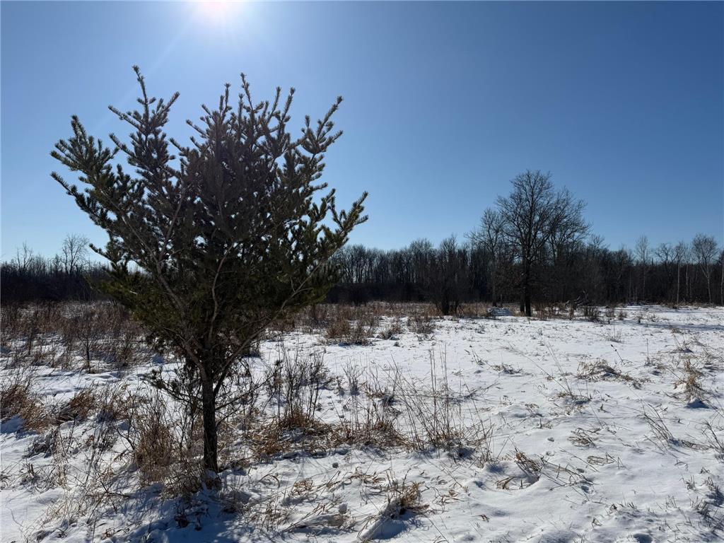 TBD County Road 14 Sebeka MN 56477 7035591 image53