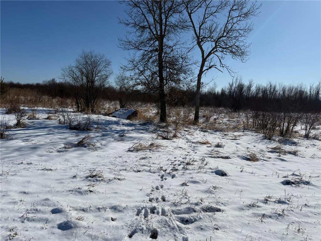 TBD County Road 14 Sebeka MN 56477 7035591 image54