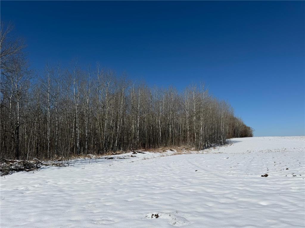 TBD County Road 14 Sebeka MN 56477 7035591 image55