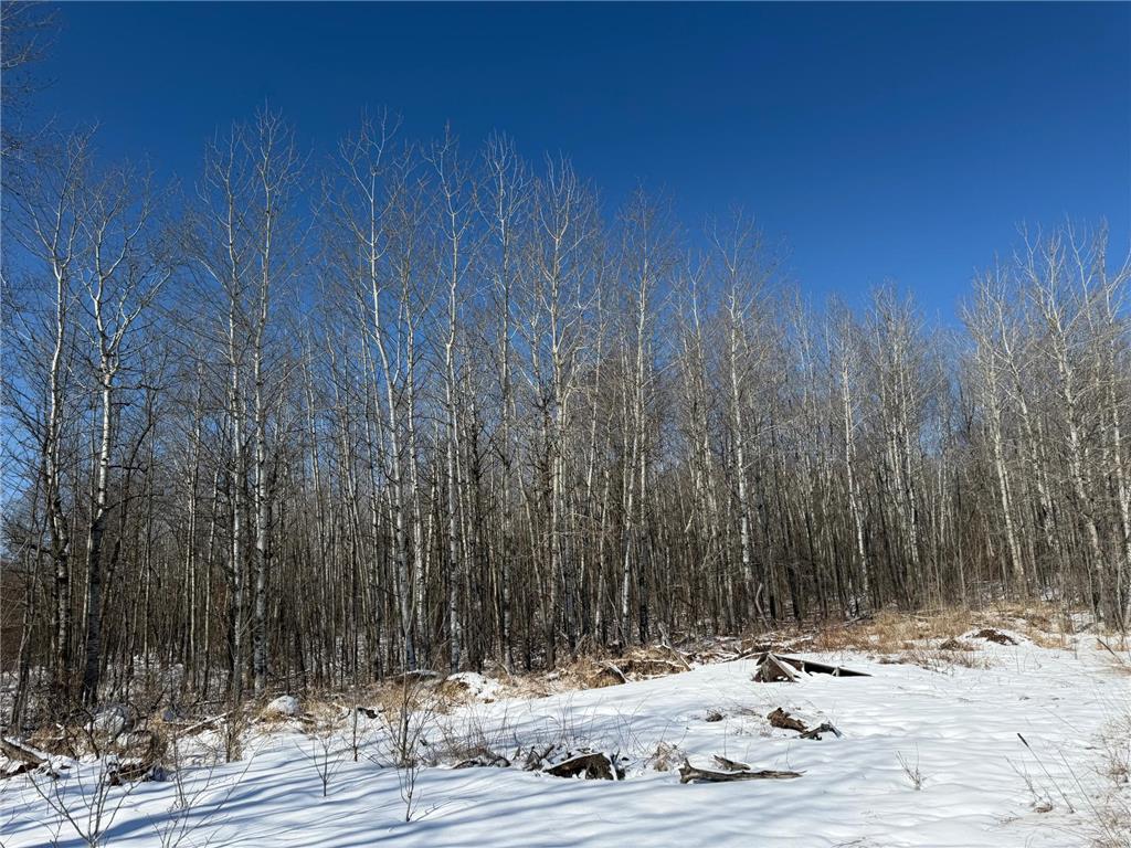 TBD County Road 14 Sebeka MN 56477 7035591 image56