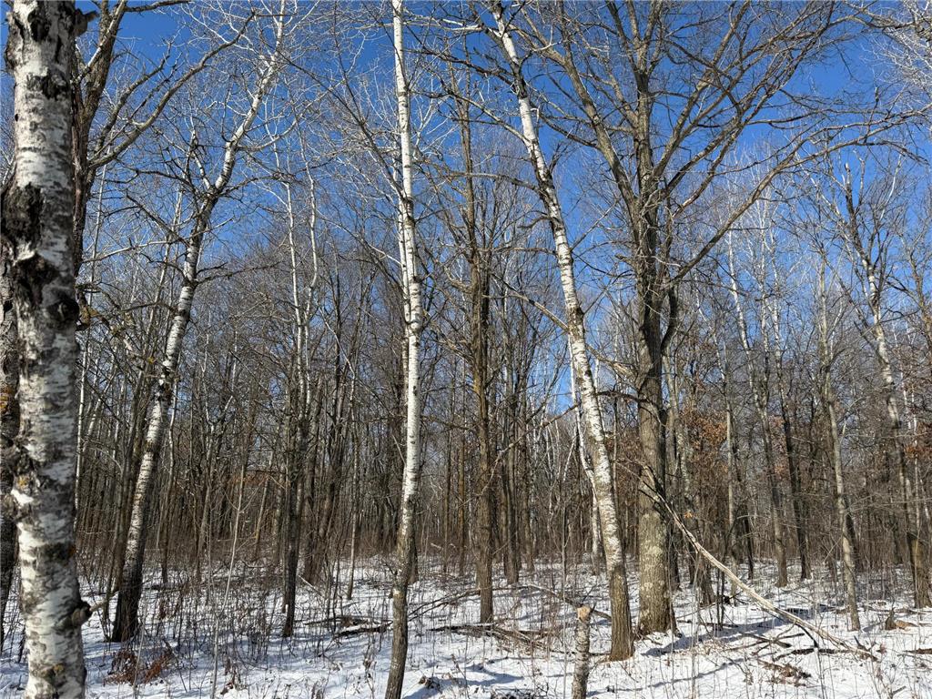 TBD County Road 14 Sebeka MN 56477 7035591 image57