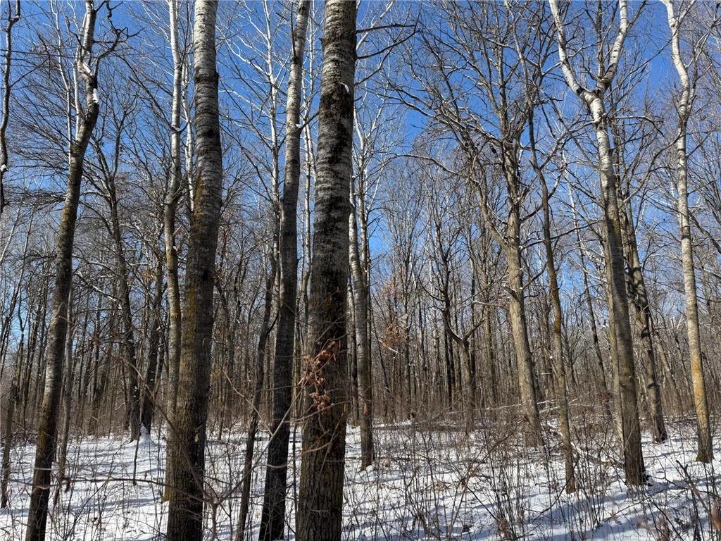 TBD County Road 14 Sebeka MN 56477 7035591 image58