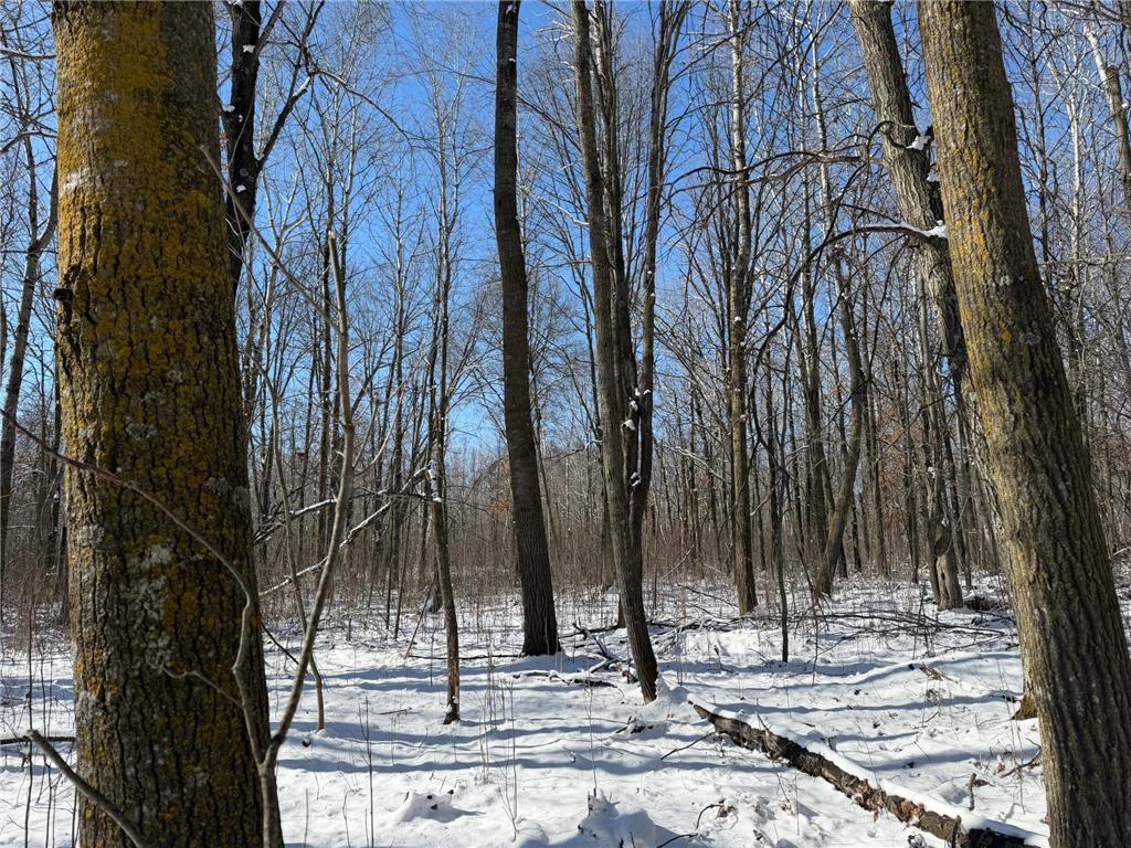 TBD County Road 14 Sebeka MN 56477 7035591 image59