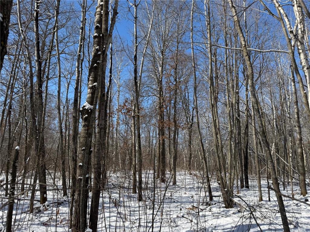 TBD County Road 14 Sebeka MN 56477 7035591 image60