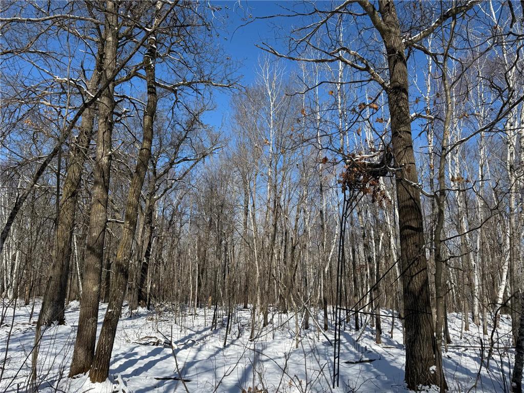 TBD County Road 14 Sebeka MN 56477 7035591 image62