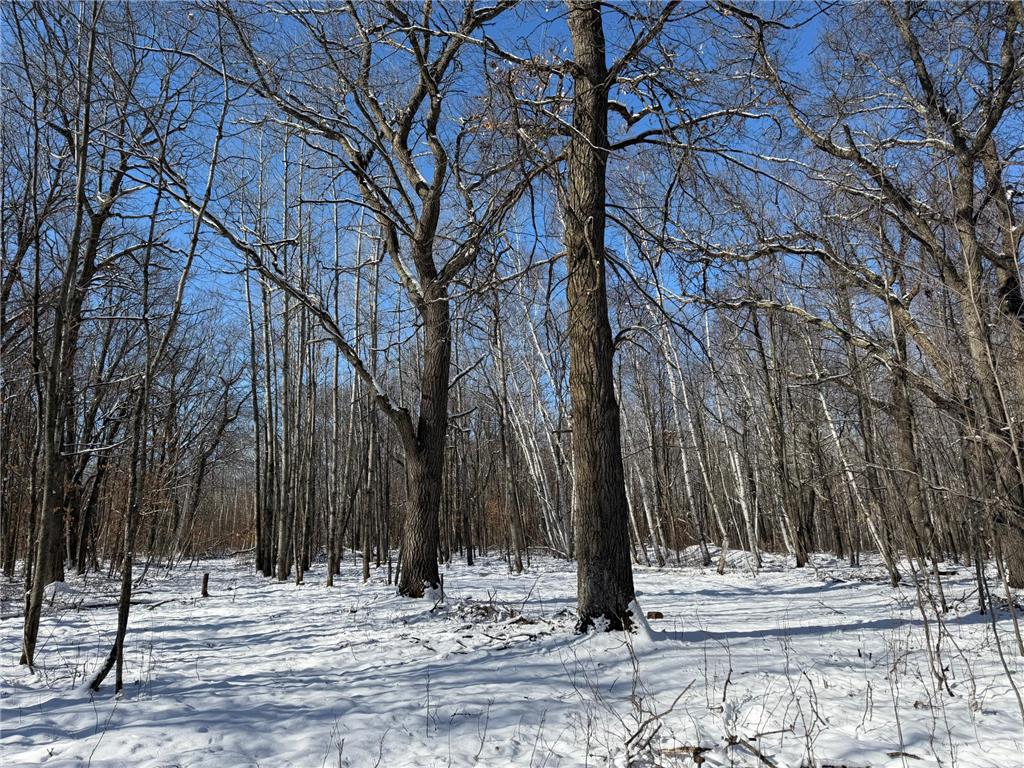 TBD County Road 14 Sebeka MN 56477 7035591 image63