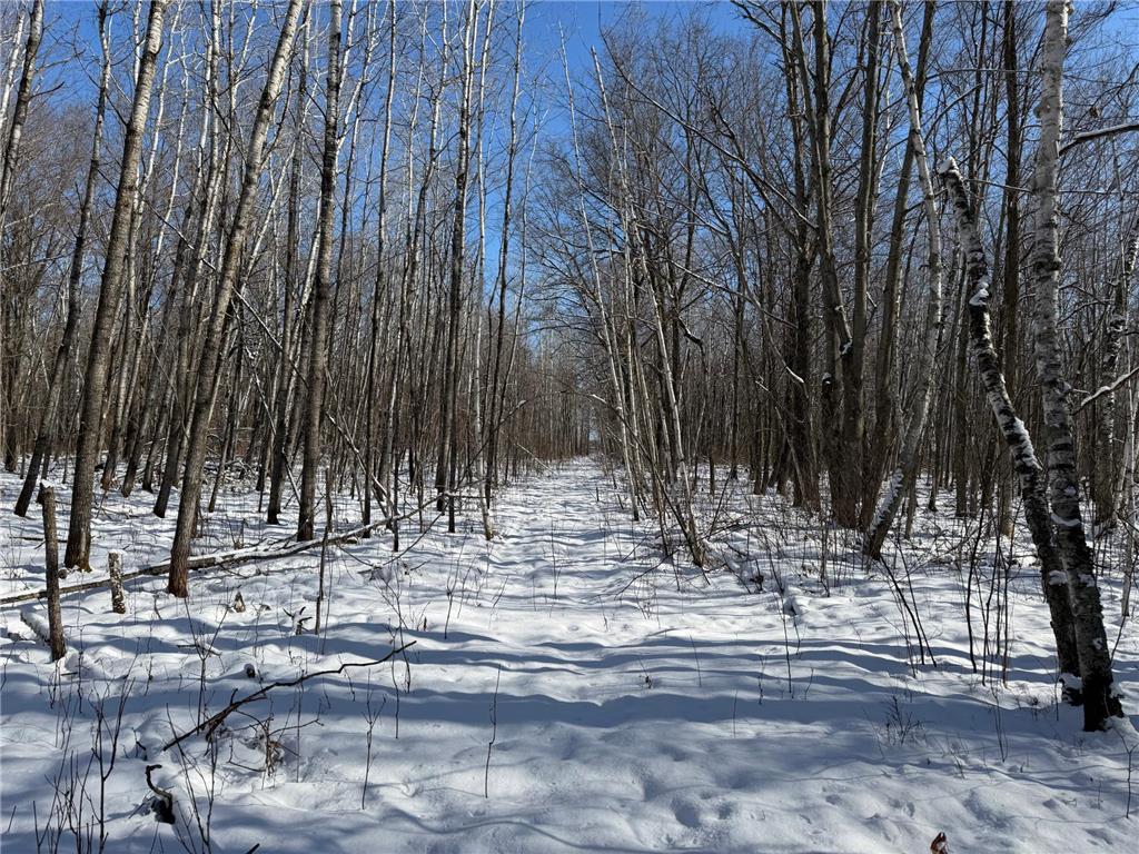 TBD County Road 14 Sebeka MN 56477 7035591 image64