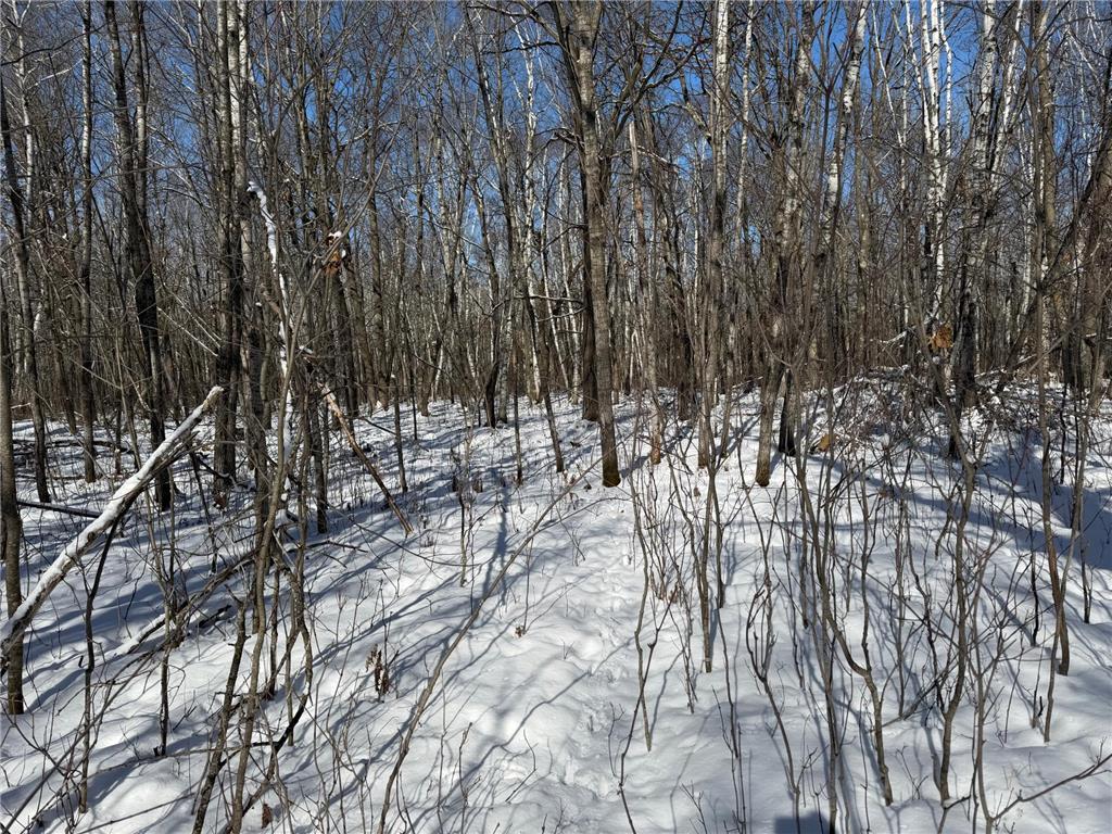 TBD County Road 14 Sebeka MN 56477 7035591 image65