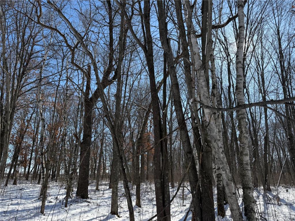 TBD County Road 14 Sebeka MN 56477 7035591 image66