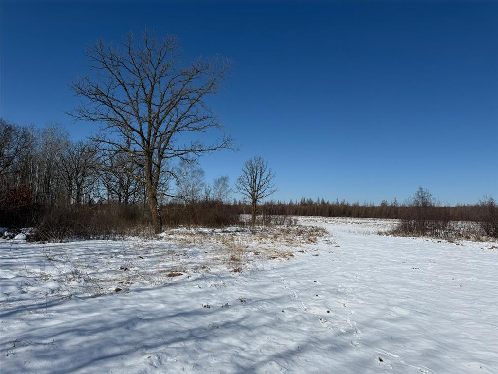 TBD County Road 14 Sebeka MN 56477 7035591 image69