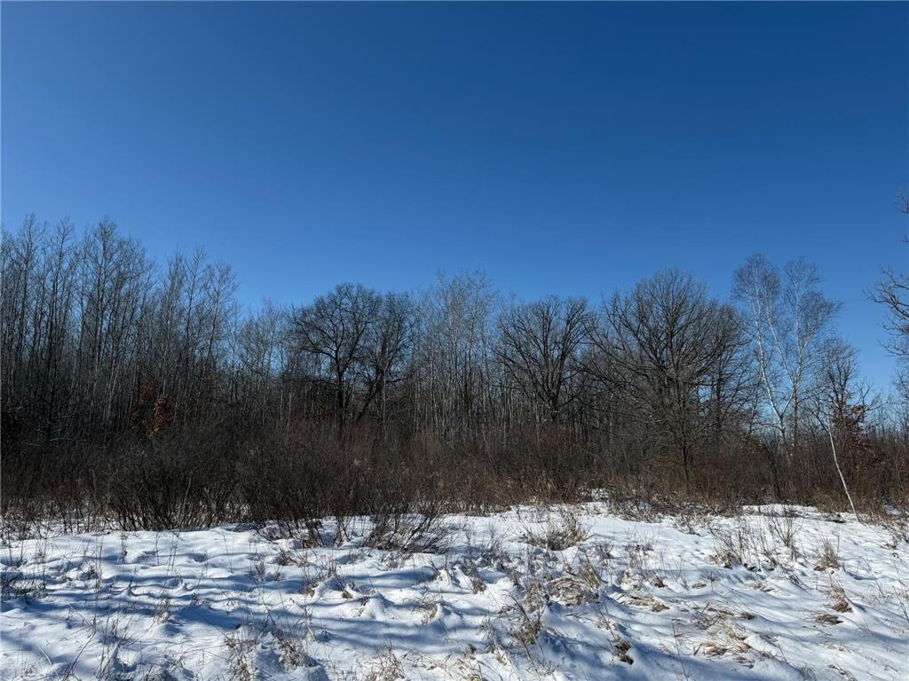 TBD County Road 14 Sebeka MN 56477 7035591 image70